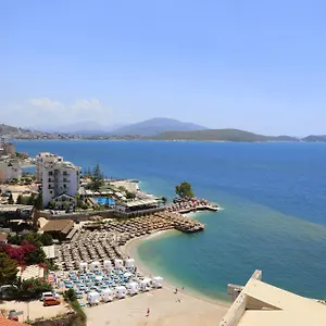 Blue Saranda